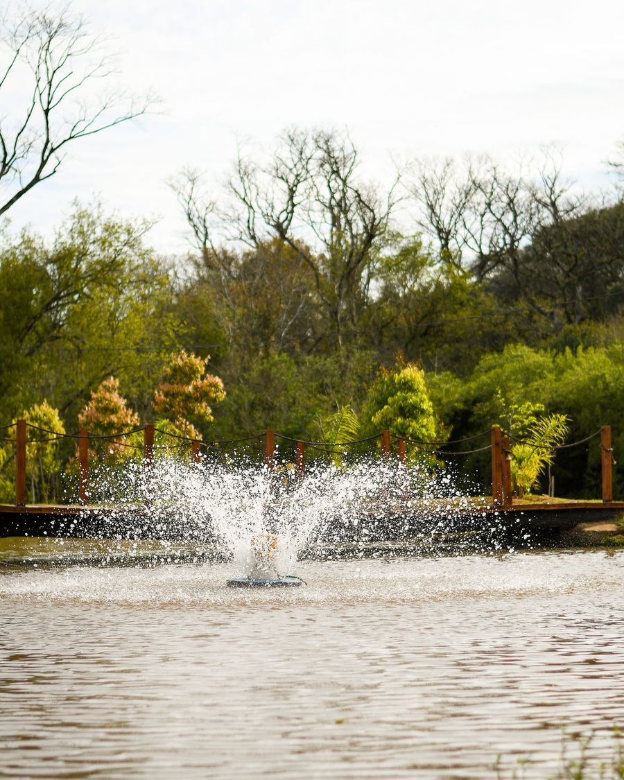 Fonte no lago do sítio
